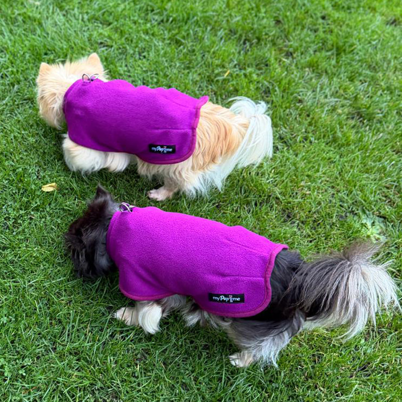 Tiny Toastie Water Repellent Fleece Dog Coat by My Pup and Me Berry Crush