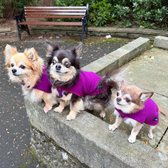 Tiny Toastie Water Repellent Fleece Dog Coat by My Pup and Me Berry Crush