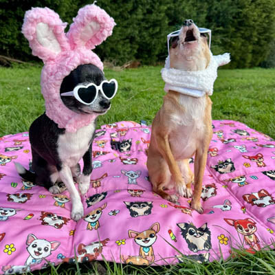 Easter Bunny Hats for Small Dogs White or Pink