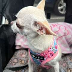 Urban Pup Vintage Rose Floral Bouquet Harness - My Chi and Me