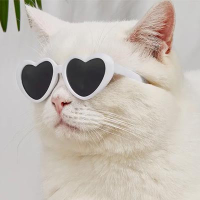 Heart Shaped Small Dog Pet Sunglasses Cool White