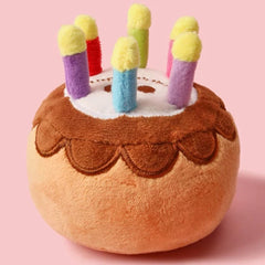 Small Dog Birthday Cake Toy with Coloured Candles