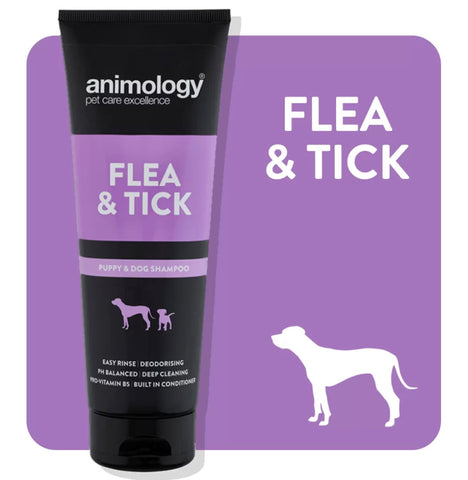 Animology Hair Of The Dog Flea and Tick Shampoo 250ml