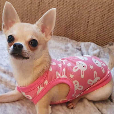 Chihuahua or Chihuahua Puppy Cotton Jersey Bunny Vest Chihuahua Clothes and Accessories at My Chi and Me