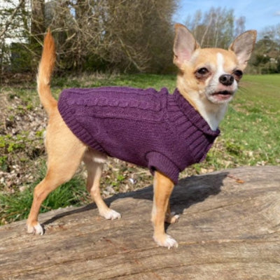 Small Dog Soft Cable Jumper Purple 7 Sizes