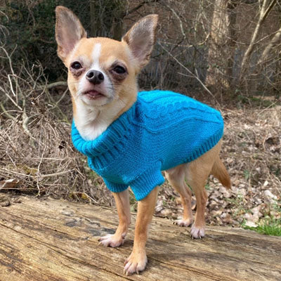 Small Dog Soft Cable Jumper Turquoise 7 Sizes