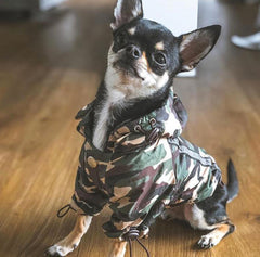 Urban Pup Chihuahua Puppy Chihuahua or Small Dog Green Camouflage Coat Rainstorm Jacket Chihuahua Clothes and Accessories at My Chi and Me