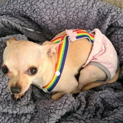 Chihuahua Season Pants Sanitary Dungarees Menstruation Knickers