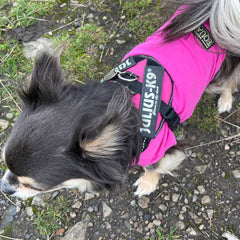 Equafleece® 14 T-Shirt Body HOTTERdog ChihuahuaSmall Dog Tankie Vest Size Small