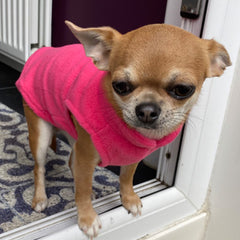 Chihuahua or Small Dog Fleece Jumper with D Rings For Leash Pink - My Chi and Me