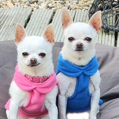 Chihuahua or Small Dog Fleece Jumper with D Rings For Leash Blue