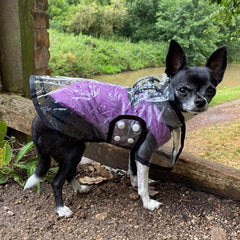 Water Resistant Padded Quilted Purple Dog Gilet