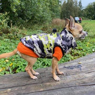 Chihuahua or Small Dog Coat Jungle Camouflage Gilet - My Chi and Me