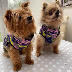 Premium Lime, Navy and Pink Camouflage Gilet Small Dog Coat