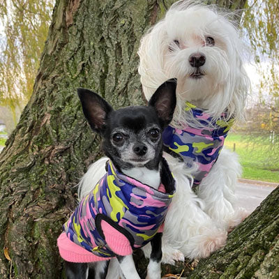 Premium Lime, Navy and Pink Camouflage Gilet Small Dog Coat