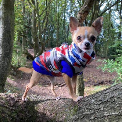 Premium Union Camouflage Red and Navy Gilet Small Dog Coat