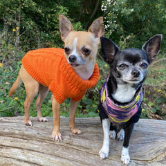 Small Dog Soft Cable Jumper Orange 6 Sizes