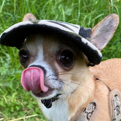 Camouflage Baseball Cap for Chihuahua Small Dog or Puppy