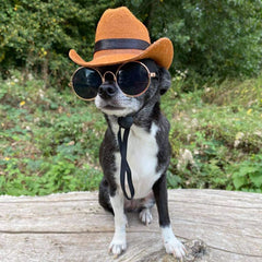 Brown Stetson Cowboy Trilby Style Hat for Small Dog or Cat