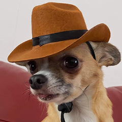 Brown Stetson Cowboy Hat for Small Dog or Cat