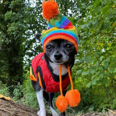 Chihuahua Hat Scarf and Leg Warmer Set Rainbow Stripes