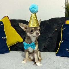 Party Hat & Bow Tie Set for Small Dogs 4 Colours