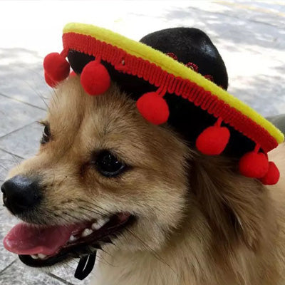 Chihuahua or Small Dog Black Mexican Sombrero Hat with Bobbles