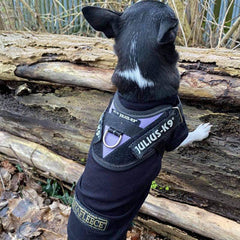 Equafleece® 16 T-Shirt Body HOTTERdog Chihuahua or Small Dog Tankie Vest Top Size Medium
