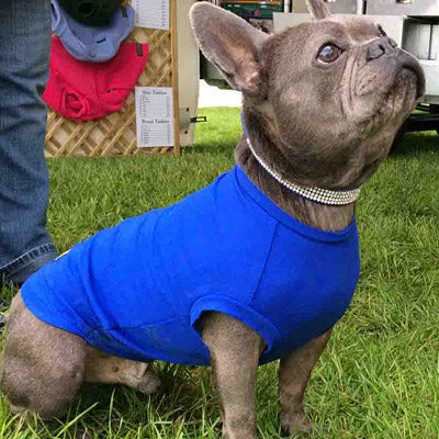 Equafleece® T-Shirt Body HOTTERdog Chihuahua or Small Dog Tankie Vest Top Size Medium