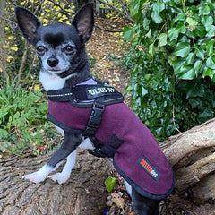 HOTTERdog© Fleece Water Repellent Dog Coat 12 Inch