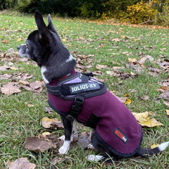 HOTTERdog© Fleece Water Repellent Dog Coat 14 Inch