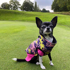 Chihuahua or Small Dog Coat Lime Navy and Pink Camouflage Gilet