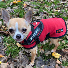 HOTTERdog© Fleece Water Repellent Dog Coat 12 Inch