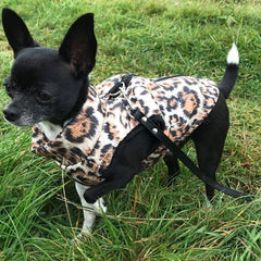 Premium Leopard Print Water Resistant Padded Gilet Style Coat Chihuahua or Small Dog - My Chi and Me