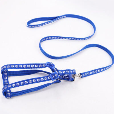 Chihuahua Small Dog Harness and Lead Set Blue Paw Light/Medium Weight Webbing