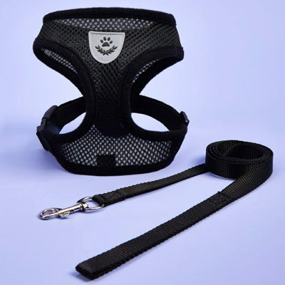 Soft Mesh Chihuahua or Small Dog Harness and Lead Set Black 3 Sizes