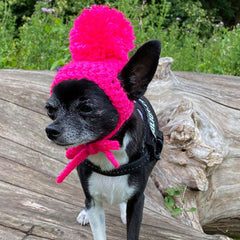 Small Dog Hand Knitted Chihuahua Hat with Pom Pom Girls 25 COLOURS Chihuahua Clothes and Accessories at My Chi and Me