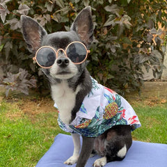 White Pineapple Print Quickdry Hawaiian Shirt for Puppies Chihuahuas or Small Dogs