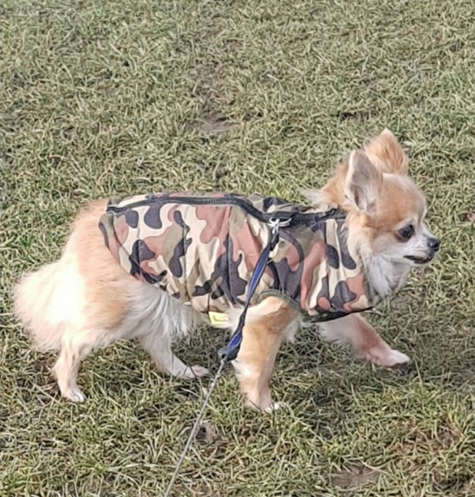 Chihuahua or Small Dog Coat Green Camouflage Gilet - My Chi and Me