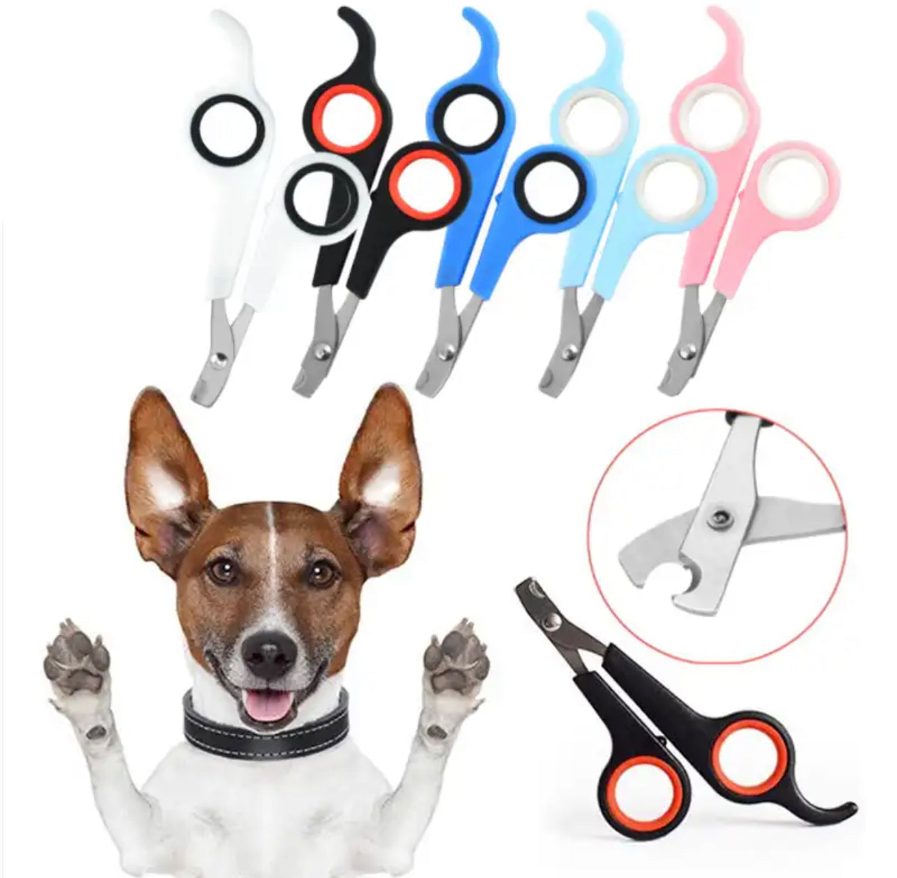 Small Scissor Style Nail Clippers Chihuahua Small Dogs Blue and Red