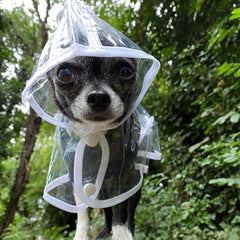 White Waterproof Raincoat for Chihuahuas and Small Dogs - 3 SIZES Chihuahua Clothes and Accessories at My Chi and Me