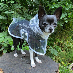 White Waterproof Raincoat for Chihuahuas and Small Dogs - 3 SIZES Chihuahua Clothes and Accessories at My Chi and Me