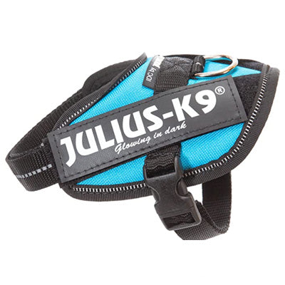 Julius K9 IDC Powerharness for Puppies and Chihuahuas Aquamarine