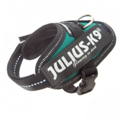 Julius K9 IDC Powerharness for Puppies and Chihuahuas Dark Green Teal