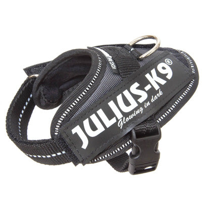 Julius K9 IDC Powerharness for Puppies and Chihuahuas Grey