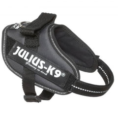 Julius K9 IDC Powerharness for Puppies and Chihuahuas Grey