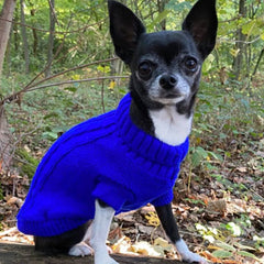 Small Dog Chihuahua Soft Cobalt Blue Cable Knit Puppy Jumper 5 SIZES