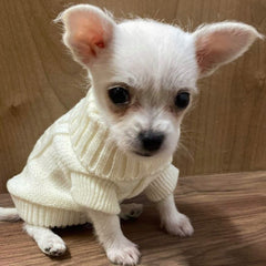 Small Dog Soft Cream Cable Jumper 6 SIZES