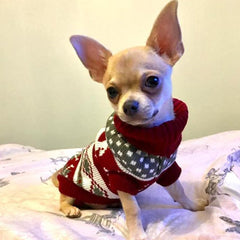 Red Fair Isle Jumper Chihuahua or Small Dog