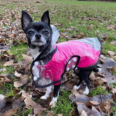 Small Dog Soft Cable Jumper Fuchsia Pink 6 Sizes